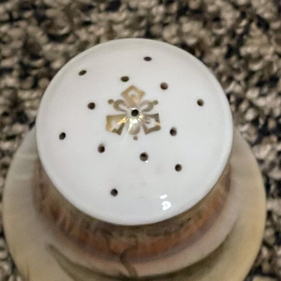 VTG Salt Pepper Shakers 3" Japan Hand Painted Nature Scenes Porcelain Multicolor - Picture 9 of 10